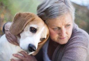 chronic illness care for pets