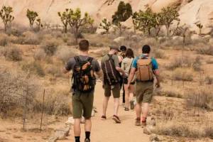 Tips for a successful desert hiking trip